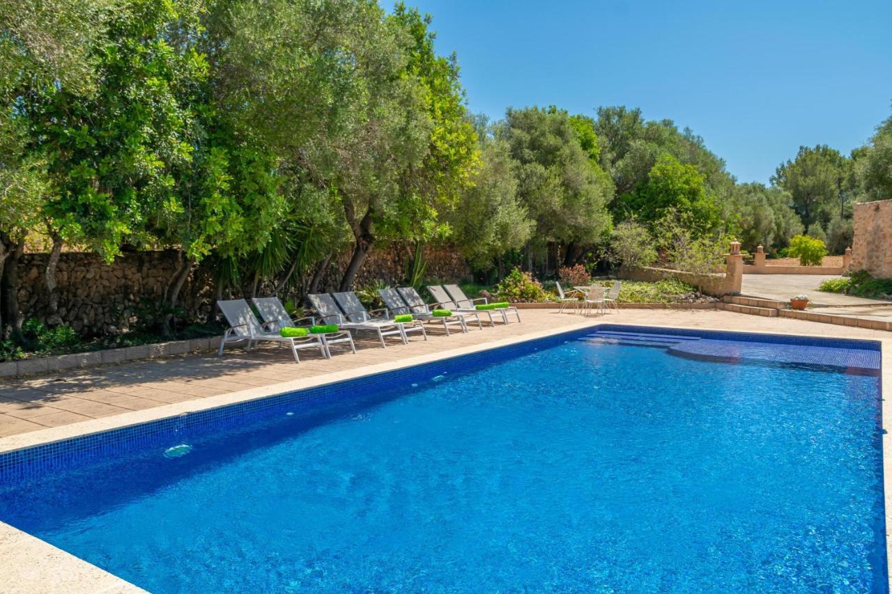 Saran Llucmajor (Mallorca)