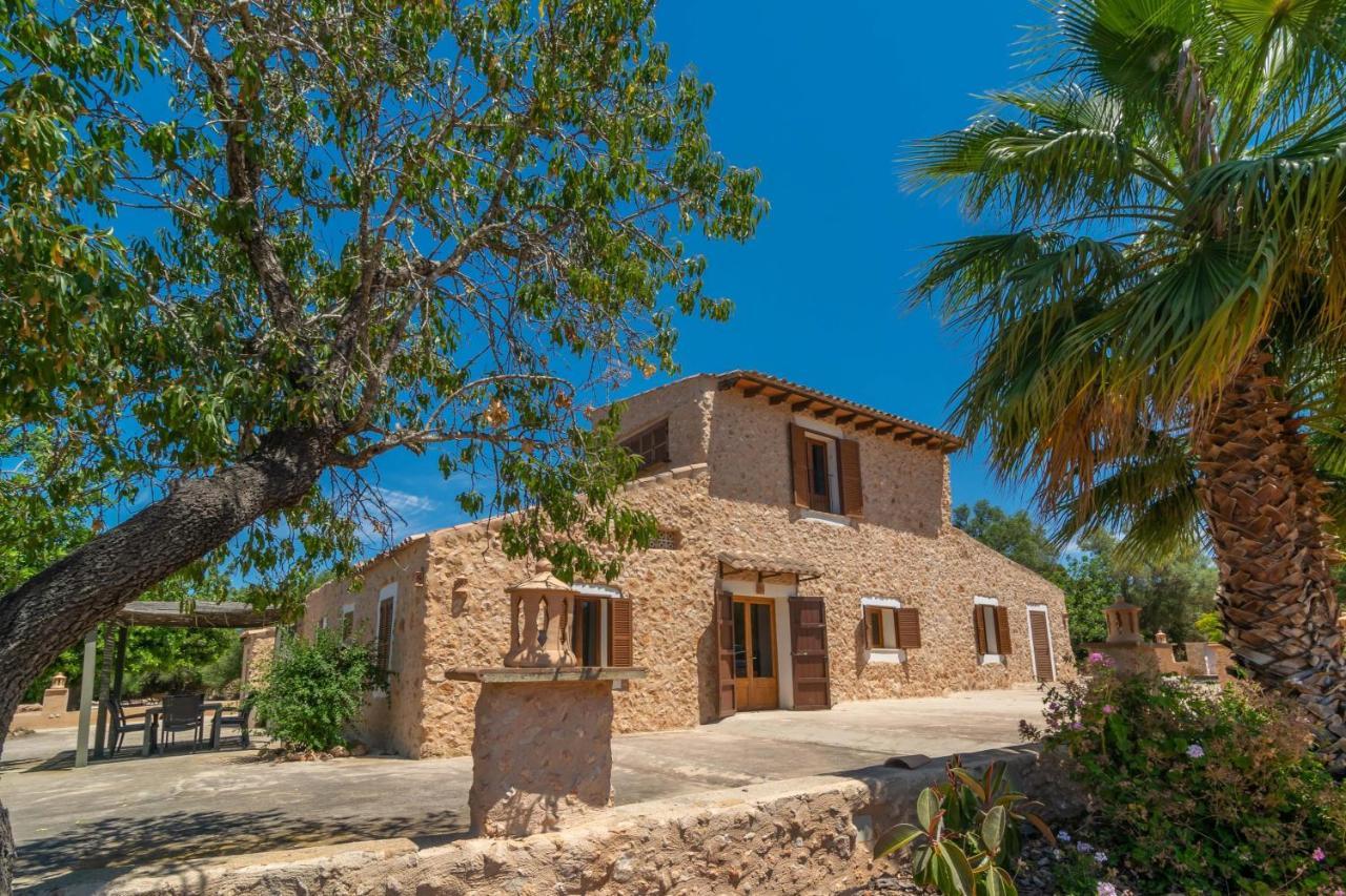 Saran Llucmajor (Mallorca)