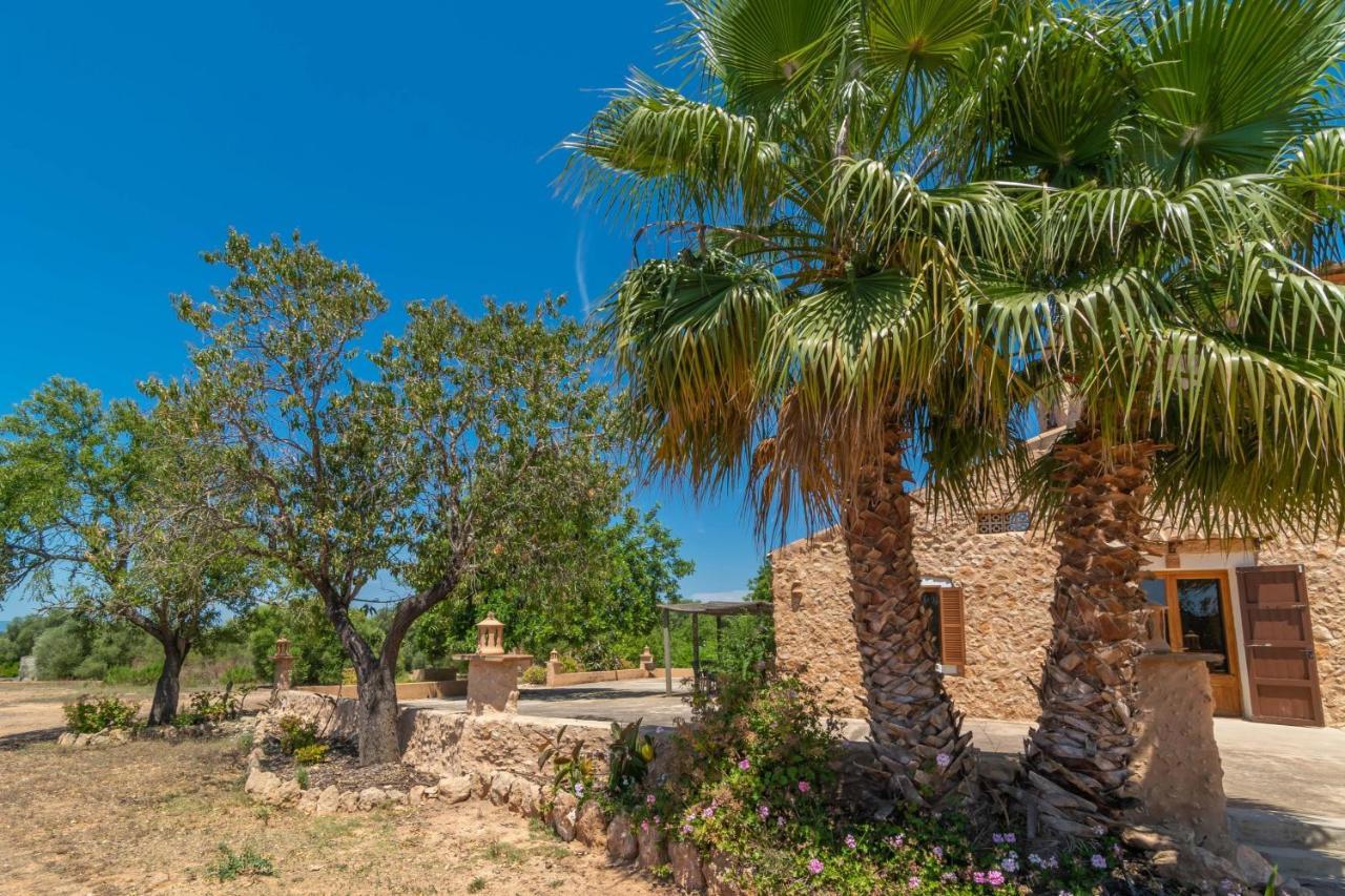 Saran Villa *